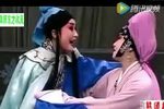 玉婵泪 全集下载