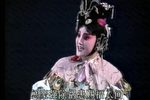 三曹父子下载