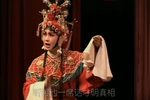 哑女告状 全集下载