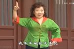 杨红梅个人演唱专辑下载