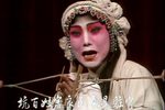 金麒麟 全集