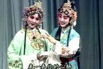 花园卖水下载