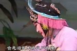 游龟山 全集下载