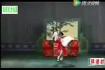 玉婵泪 全集下载