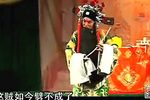 白叮本