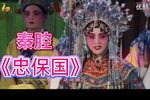 忠保国 全集