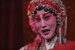 杨门女将 全集