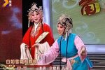表花 赶坡 锁麟囊 火焰驹 选段下载