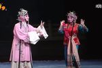 游西湖 全集下载