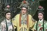 白逼宫下载