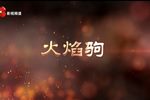 火焰驹 全集下载