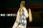 数罗汉下载