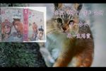 新十八扯