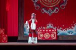 杨门女将 选段