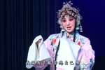 哑女告状 全集下载