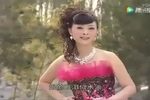 洪湖赤卫队 选段