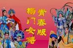 杨门女将 2下载