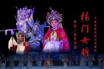 杨门女将 全集下载