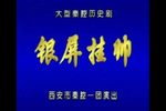 银屏挂帅 全集下载