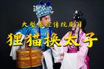 狸猫换太子 全集下载