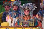 忠保国 全集下载