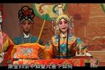 白叮本 全集
