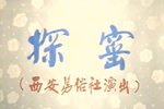探窑下载