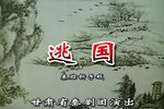逃国下载