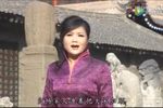 康亚婵个人演唱专辑