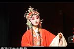 卖苗郎 全集下载