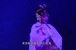 情断状元楼 全集下载