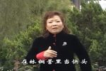 杨红梅唱腔合辑 1