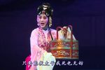 狸猫换太子 上集