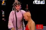 顶灯 选段下载