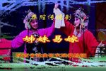 姊妹易嫁 全集下载