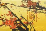 杨门女将 全集下载