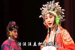 斩姚期 全集下载