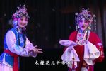 火焰驹 全集下载