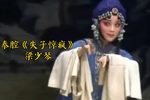 失子惊疯 选段