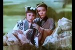 虎口缘下载