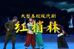 红梢林 全集下载