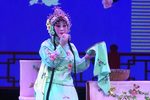 秦腔李淑芳个人演唱专辑