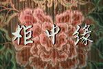 柜中缘下载