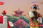 包青天之铡美案 全集