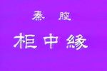 柜中缘下载