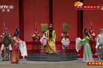 狸猫换太子 全集下载