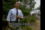 秦腔名家名段23段
