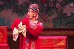 虹霓关下载
