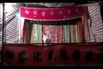 双宝球 全集下载