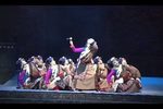 尘埃落定 全集